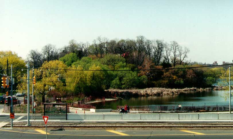 Herne Hill, now Woodland Heights, circa 1999 - view from south of the Queensway, looking north with Ellis Ave on the left and Grenadier pond / High Park on the right. 