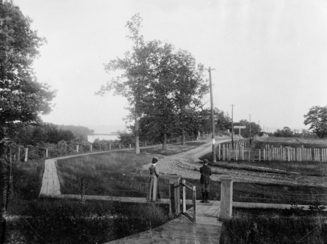 The front gate of Morningside Church looking south down Ellis Avenue. The street sign reads "College Street Extension" and the one on the tree reads "Ellis Avenue". Adam Smith, son of R. C. Smith, and Miss Ada Smith, daughter of Wm. Smith (no relationship) are looking down towards the lake. Grenadier Pond can be seen past the board sidewalk.