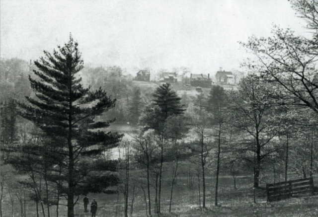 Looking west across the Grenadier Pond from High Park towards the backs of the homes on Ellis Avenue which can be seen on the horizon. In the foreground can be seen the fence between the Chapman and Howard properties which was the dividing line between Swansea and Toronto. Some of the posts are still there today. Source unknown.